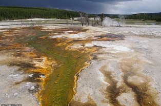 Thermal Runoff