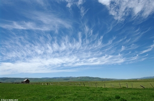 Cirrus clouds