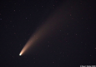 Comet Neowise