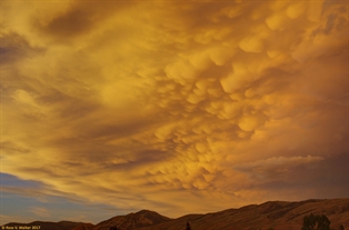 Mammatus clouds
