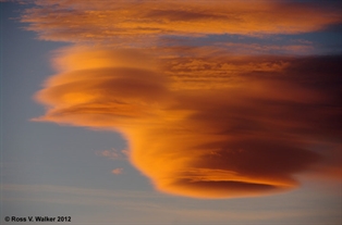 Lenticular Clouds