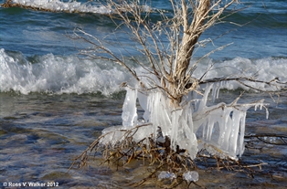 Wave Ice, Bear Lake