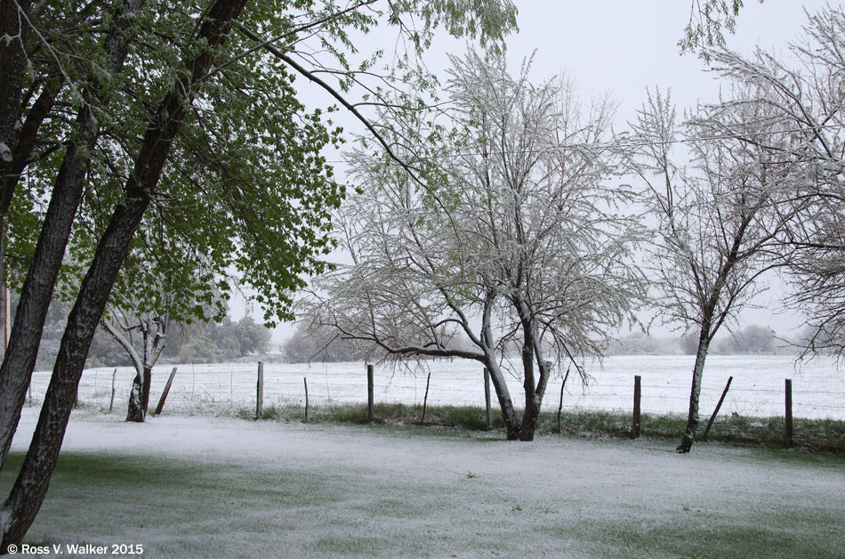 Spring snowstorm at Welcome Station RV Park in Welcome, Nevada