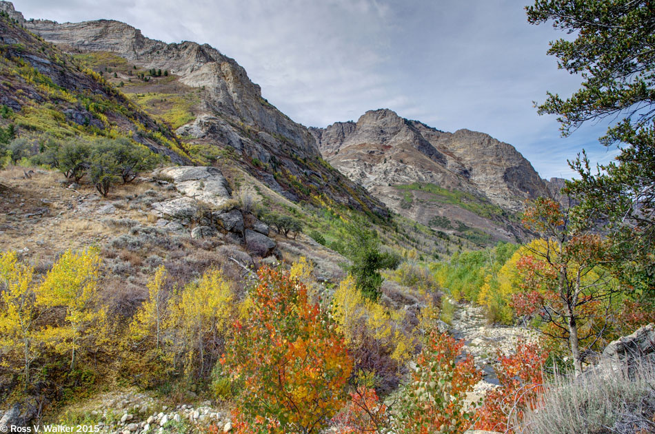 Autumn looking down Lamoille Canyon, Nevada