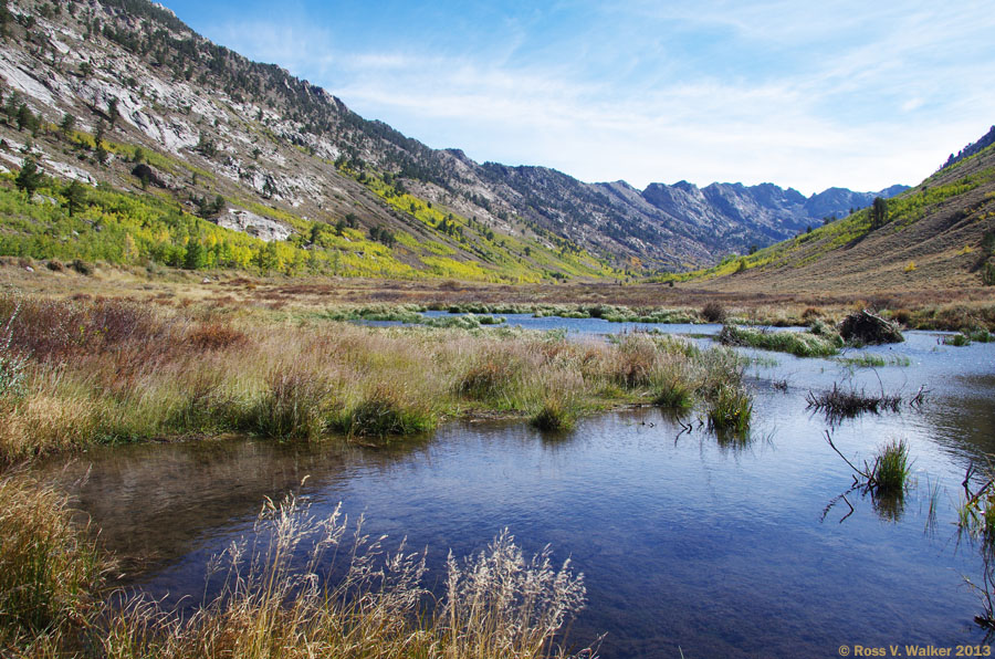 View upstream from a beaver pond in Lamoille Canyon, Nevada
