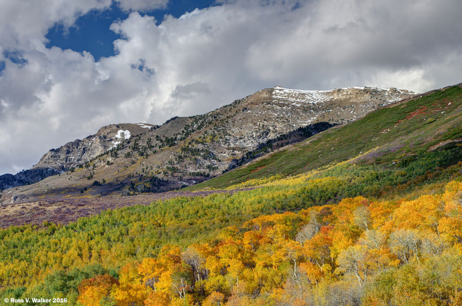 East Humboldt Mountains from Angel Lake Scenic Byway, Nevada