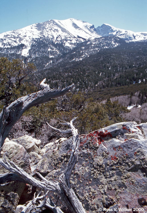 Wheeler Peak, Great Basin National Park, Nevada