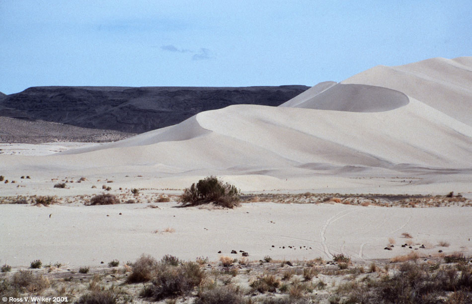 Sand Mountain Recreation Area, Nevada