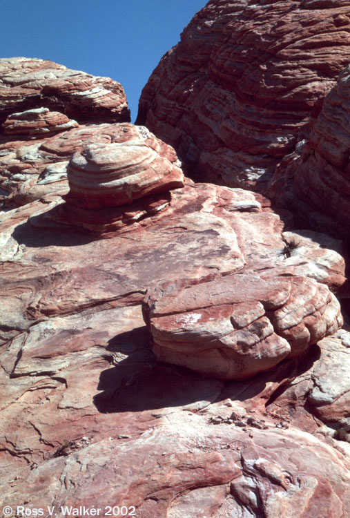 Sandstone knobs, Bitter Springs Back Country Byway, Nevada