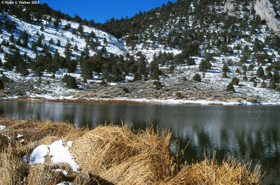 Cave Lake State Park, Nevada