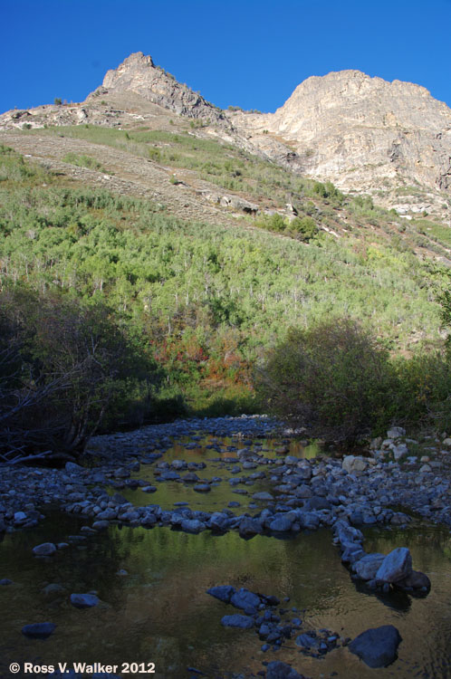 Lamoille Creek near Thomas Canyon Campground, Lamoille Canyon, Nevada