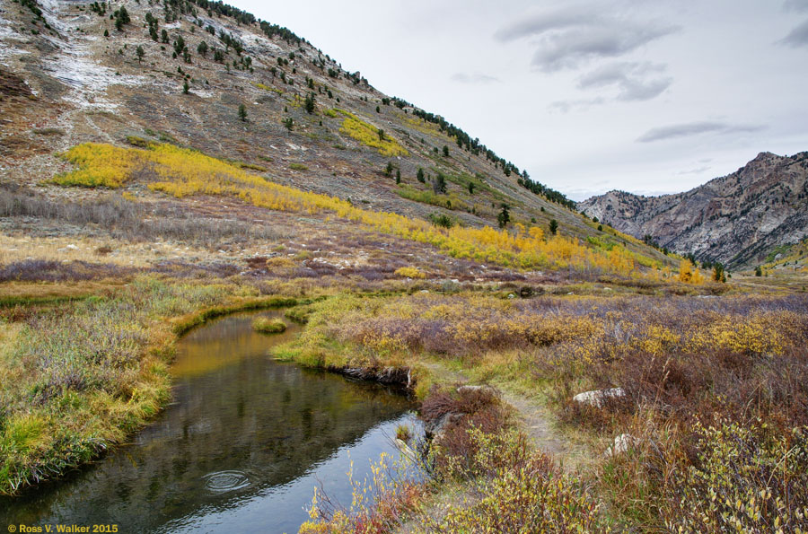 Lamoille Creek in the autumn, Lamoille Canyon, Nevada