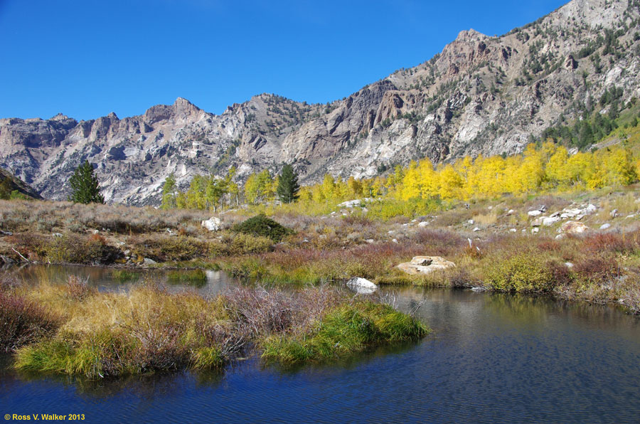 Fall color and a beaver pond below the walls of Lamoille Canyon, Nevada