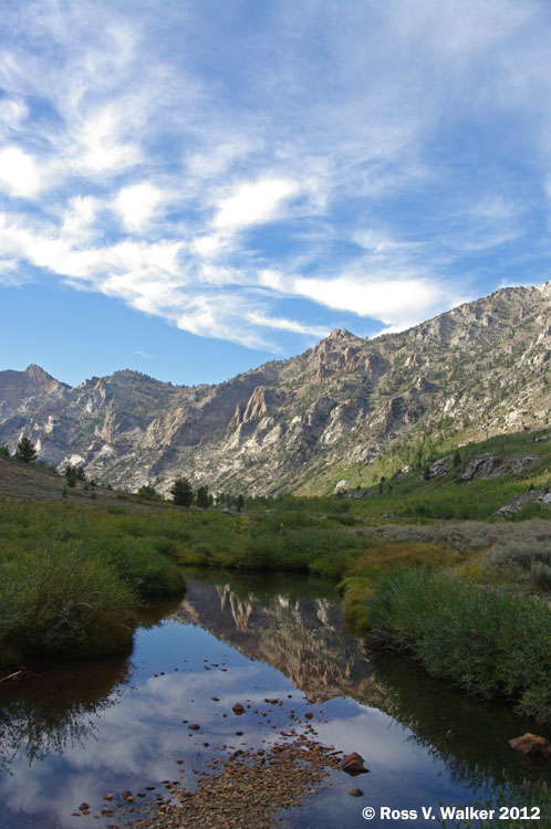 Beaver pond reflection, Lamoille Canyon, Nevada