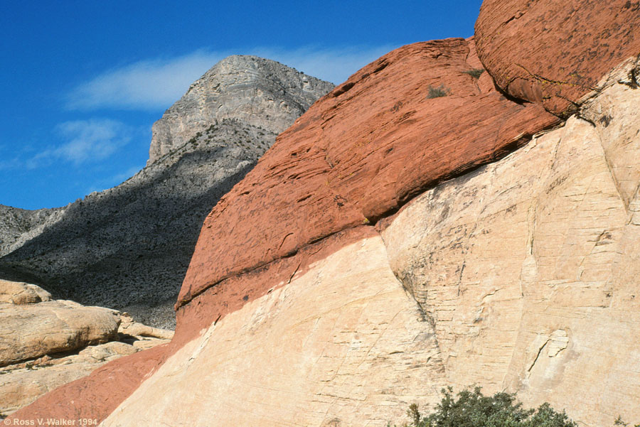 Limestone and sandstone, Red Rock Canyon National Conservation Area, Nevada