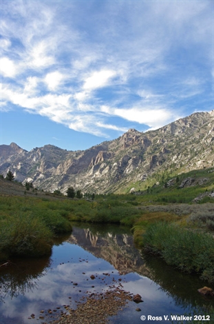 Lamoille Canyon Reflection