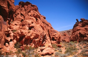 Redstone Picnic area