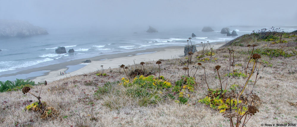 The Oregon coast in fog, from Coquille Point in Bandon, Oregon