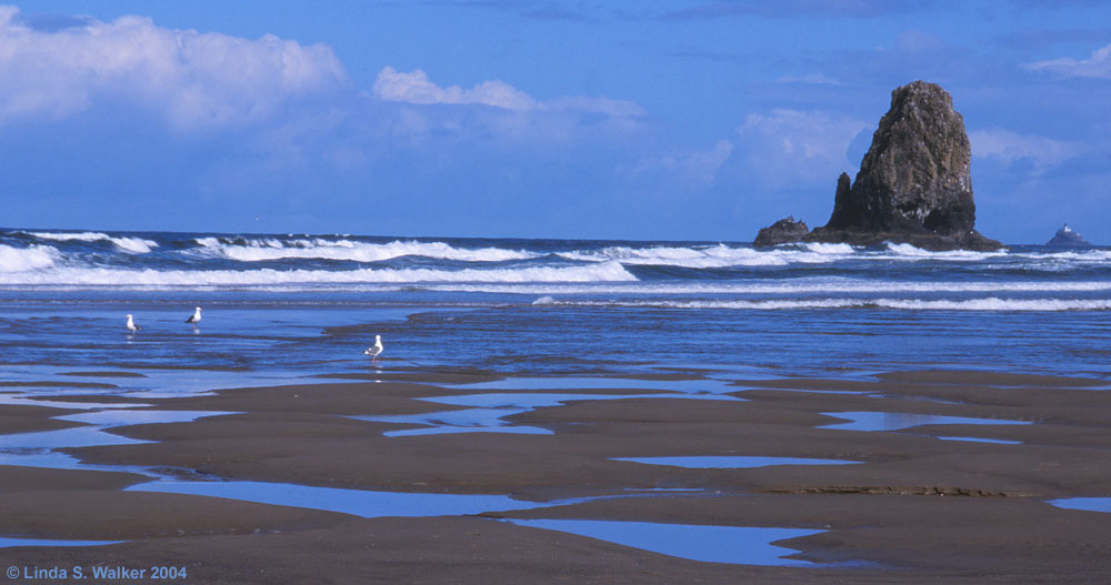 Seastack at Cannon Beach, Oregon