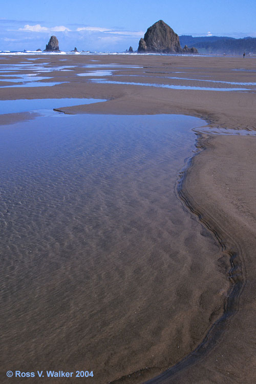Low tide at Cannon Beach, Oregon