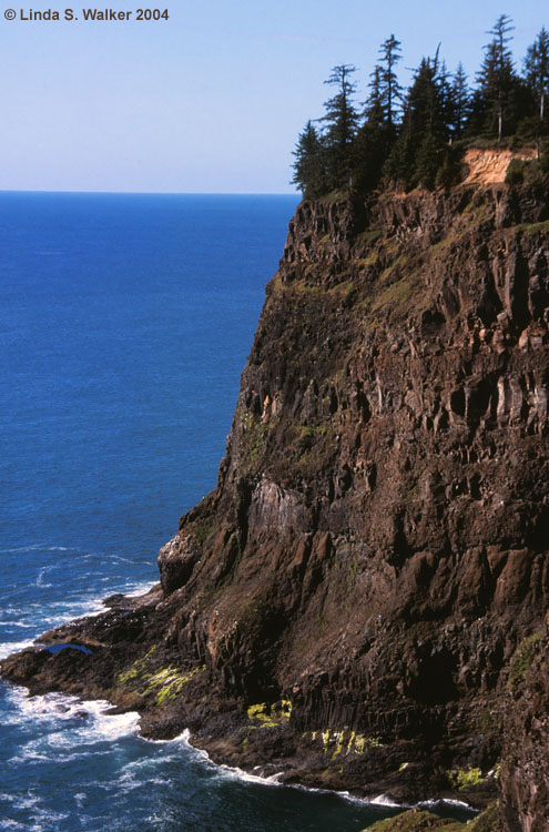 A sheer headland at Cape Meares State Park, Oregon