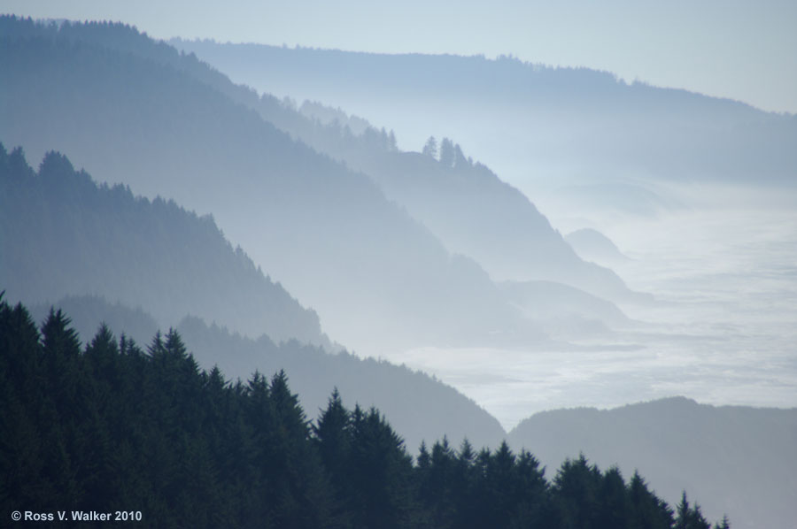 Shoreline in the mist, from Cape Perpetua, Oregon