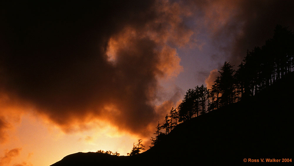 Ridgetop silhouettes, Ecola State Park, Oregon