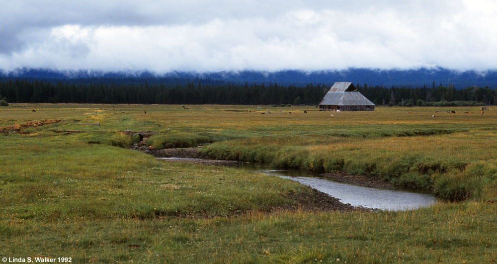 A barn in the rain, Ft. Klamath, Oregon