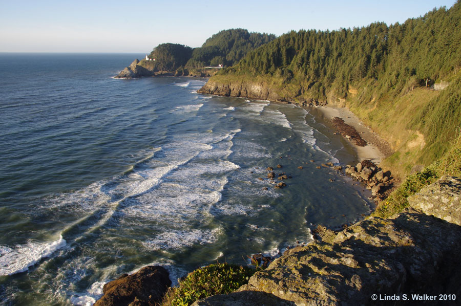 The cove at Heceta Head, Oregon