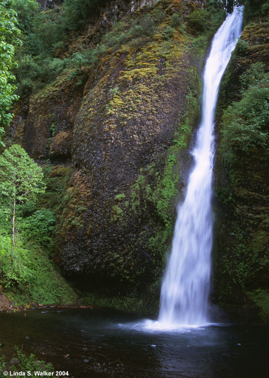 Horsetail Falls, Columbia River Gorge, Oregon