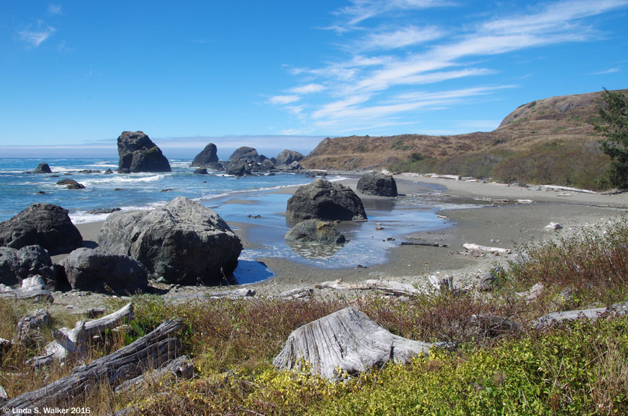 Lone Ranch Beach, Oregon