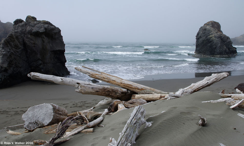 Fog and driftwood on Meyers Beach, Oregon
