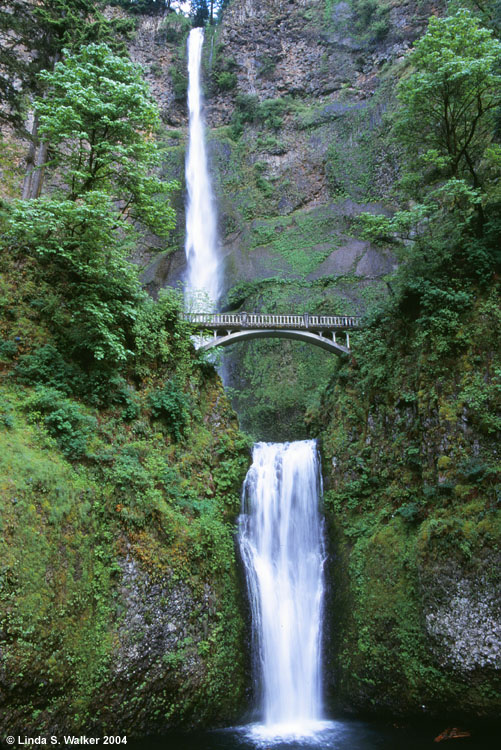 Multnomah Falls, Columbia Gorge, Oregon