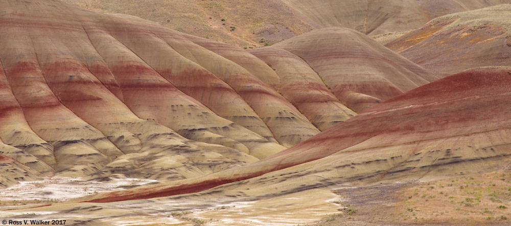 A slash of red crosses the foreground at the Painted Hills, Oregon