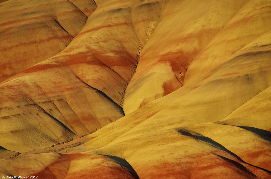 Contoured hills turned golden by the evening sunlight at the Painted Hills, Oregon