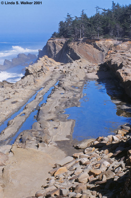 Rock benches at low tide, Shore Acres State Park, Oregon