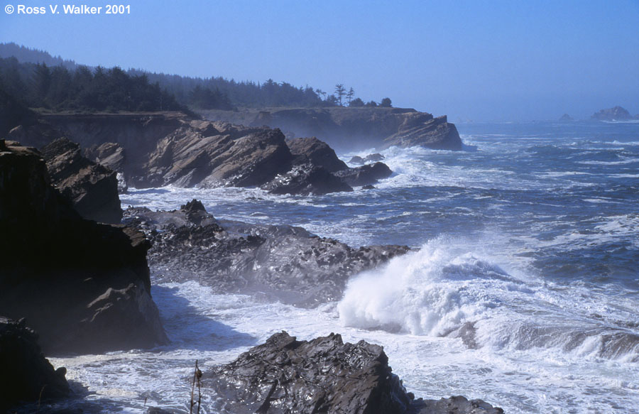 Rugged coastline at Shore Acres State Park, Oregon