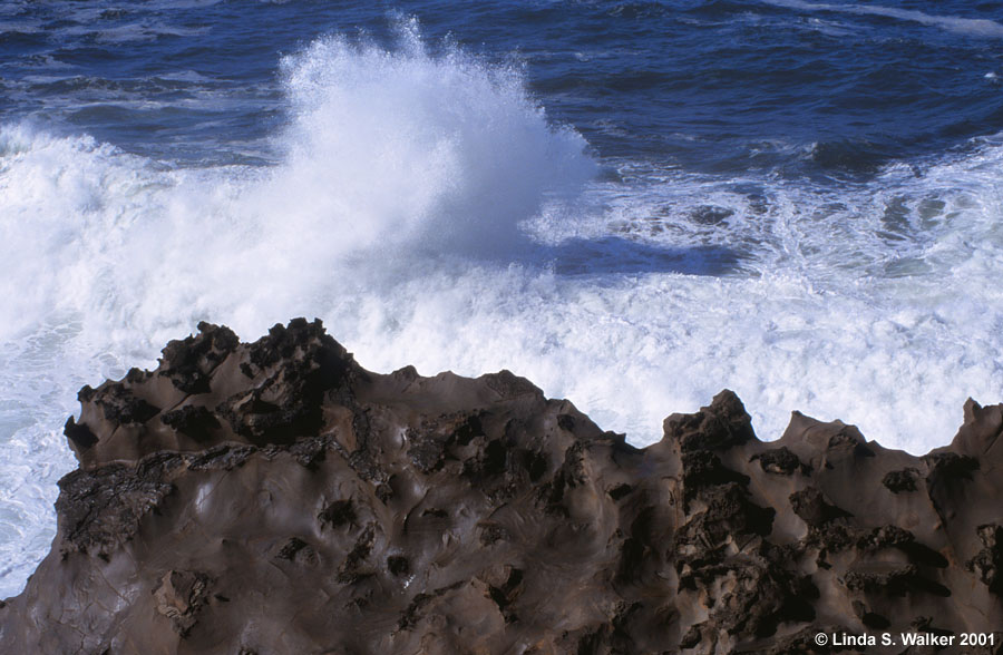 Surf crashing against jagged rocks at Shore Acres State Park, Oregon