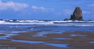 Cannon Beach, Oregon