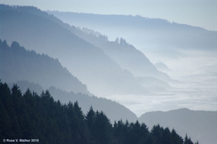 Cape Perpetua, Oregon