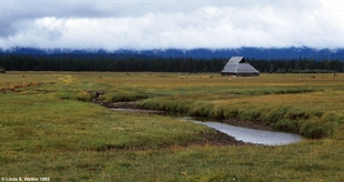 Fort Klamath barn