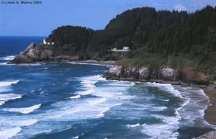 Heceta Head