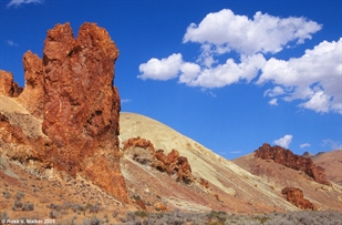 Leslie Gulch