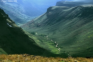 Little Blitzen, Steens Mountain