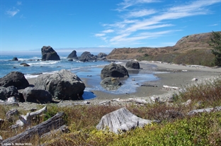 Lone Ranch Beach