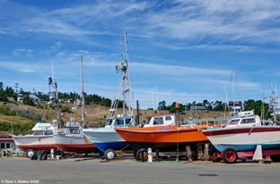 Port Orford