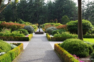 Shore Acres Garden