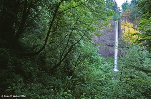 Wahkeena Falls, Oregon