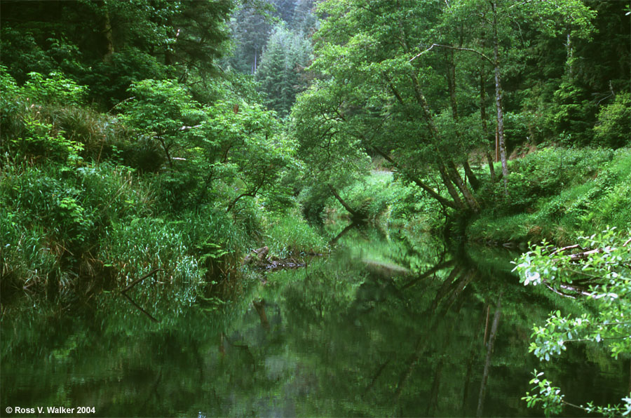 Yachats River, Oregon