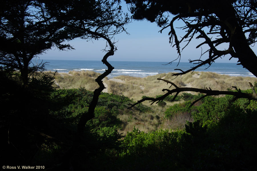 The trail below Yaquina Bay lighthouse opens onto the beach at Newport, Oregon